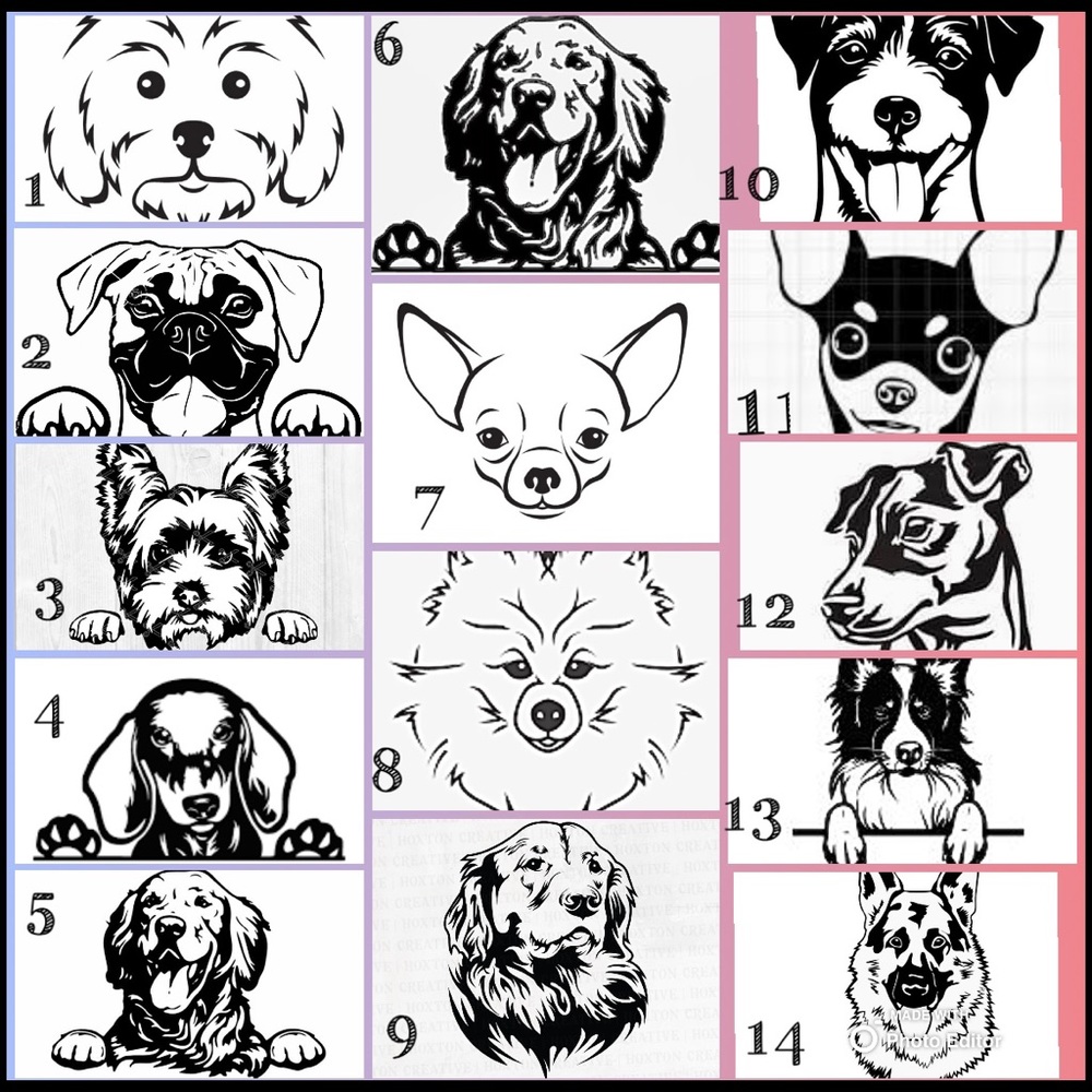 Custom dog apparel